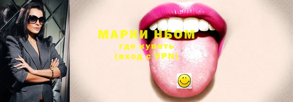 соль ск Богородск