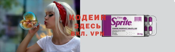 apvp Богданович