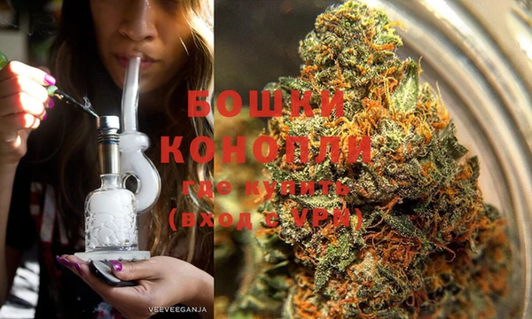 apvp Богданович